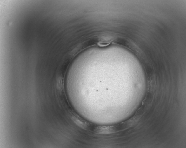 X0000069390093200605262128