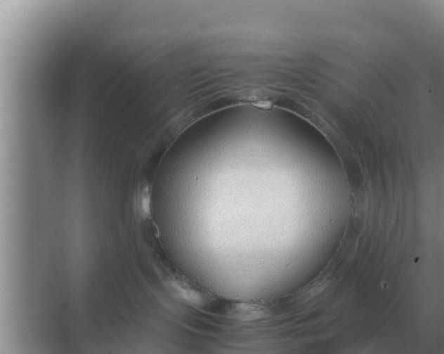 X0000069390095200605262128