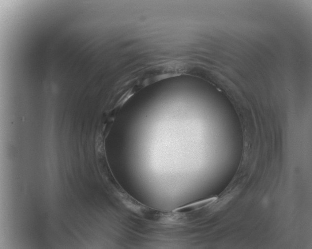 X0000069390096200605262128