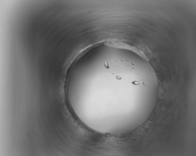 X0000069390098200605262127