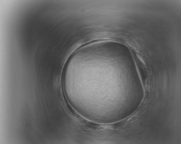 X0000069390099200605262127