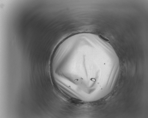 X0000069390100200605262127