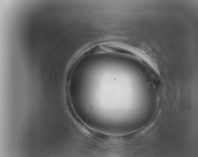 X0000069390101200605262127