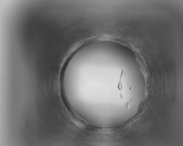 X0000069390102200605262127