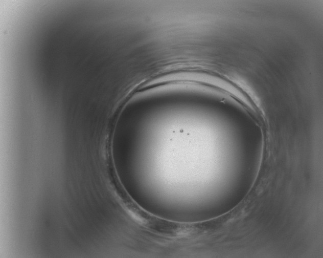 X0000069390105200605262127