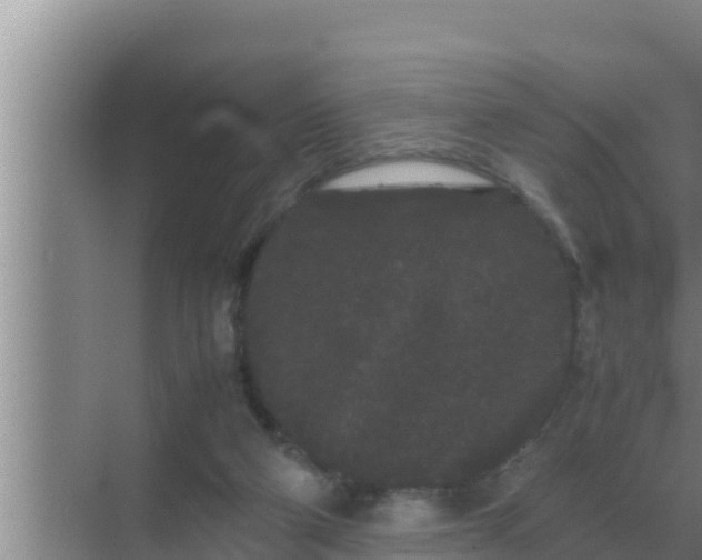 X0000069390114200605262126