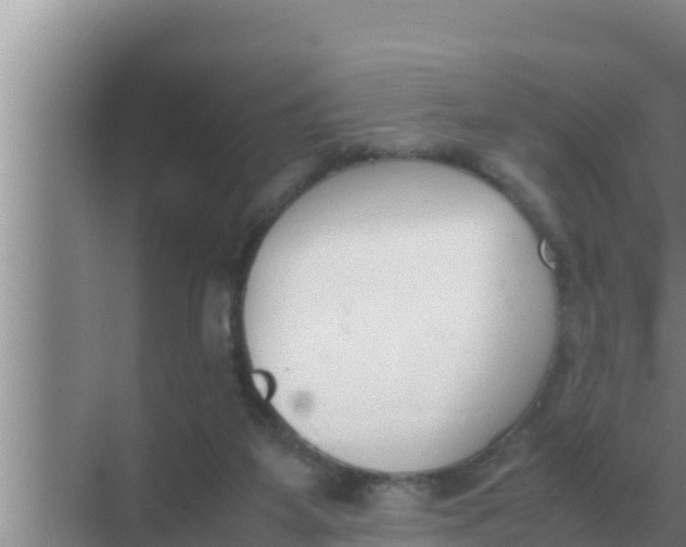 X0000069390115200605262126