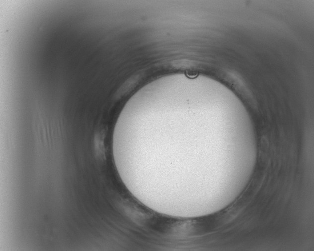 X0000069390116200605262126