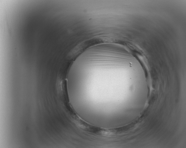 X0000069390117200605262126