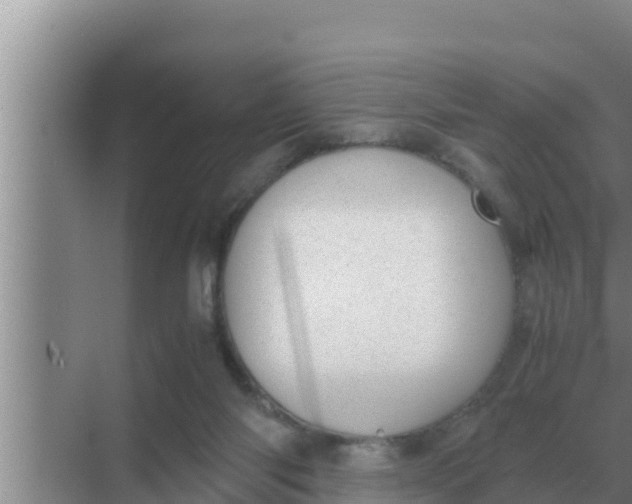 X0000069390118200605262126