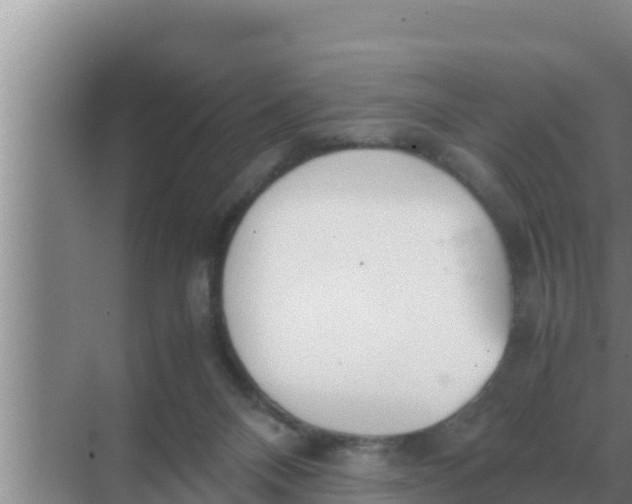 X0000069390120200605262126