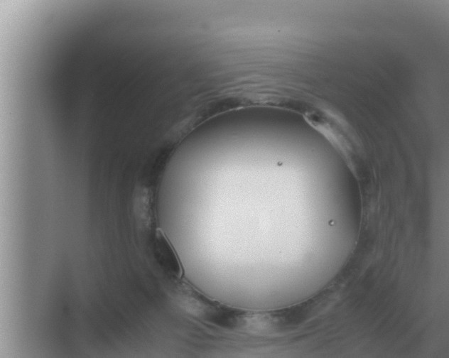 X0000069390121200605262126