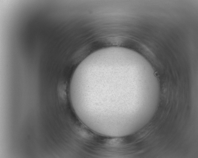 X0000069390122200605262126