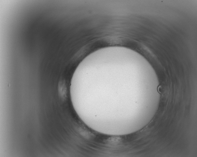 X0000069390124200605262126