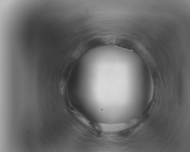 X0000069390125200605262126