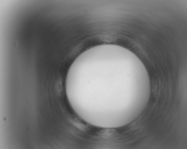 X0000069390128200605262126