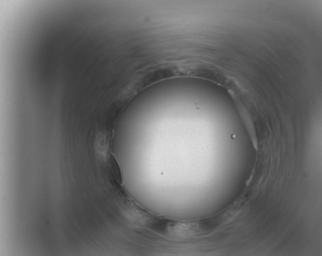 X0000069390129200605262126