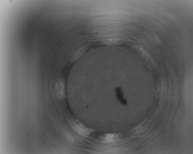 X0000069390130200605262126