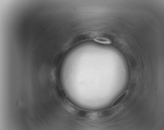 X0000069390131200605262126