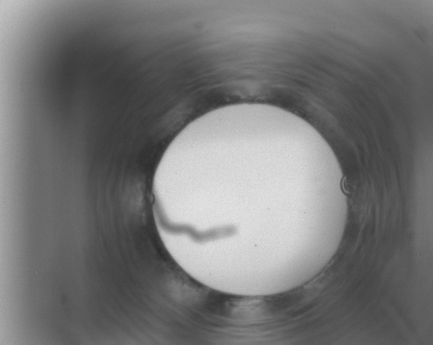 X0000069390132200605262126