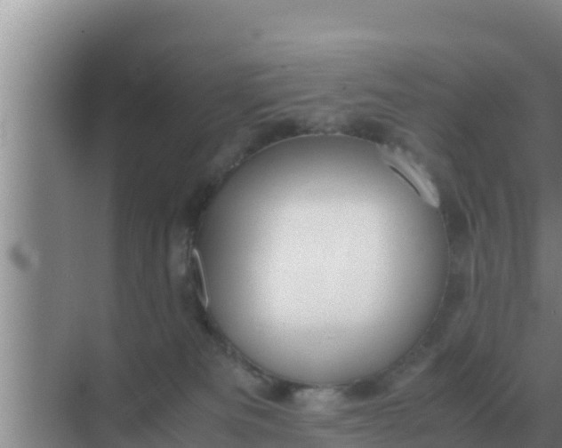 X0000069390133200605262126