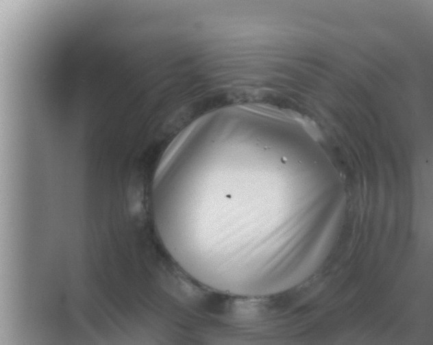 X0000069390134200605262126