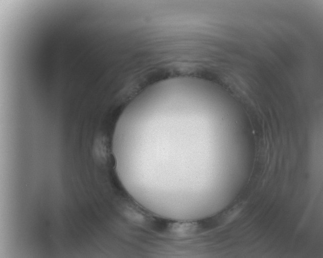 X0000069390135200605262126