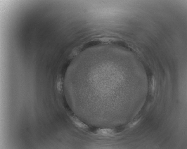 X0000069390137200605262126