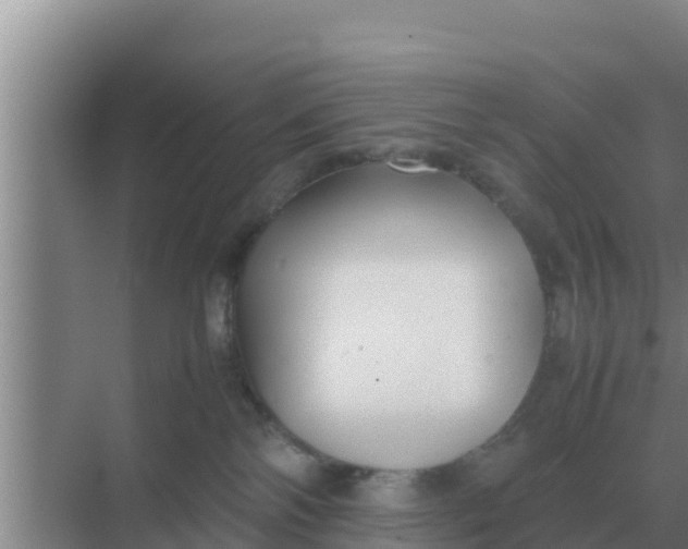 X0000069390138200605262126