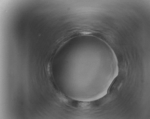 X0000069390139200605262126