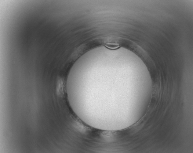 X0000069390142200605262126