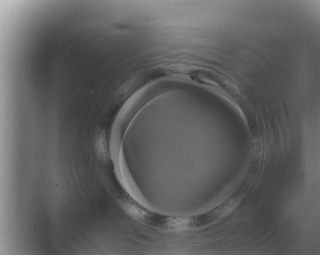 X0000069390143200605262126