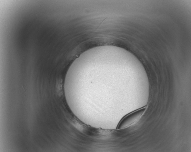 X0000069390144200605262126