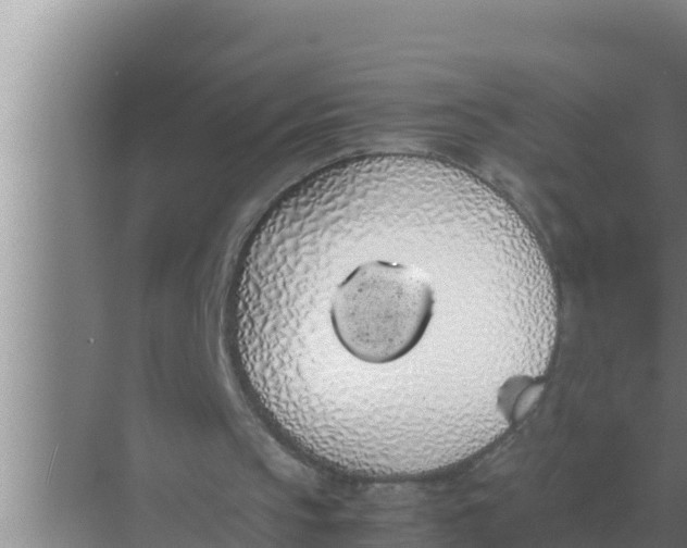 X0000069390145200605262125