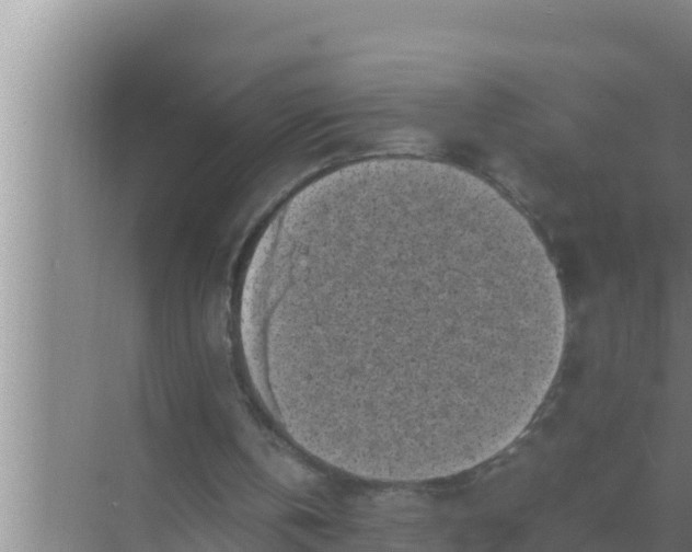 X0000069390146200605262125