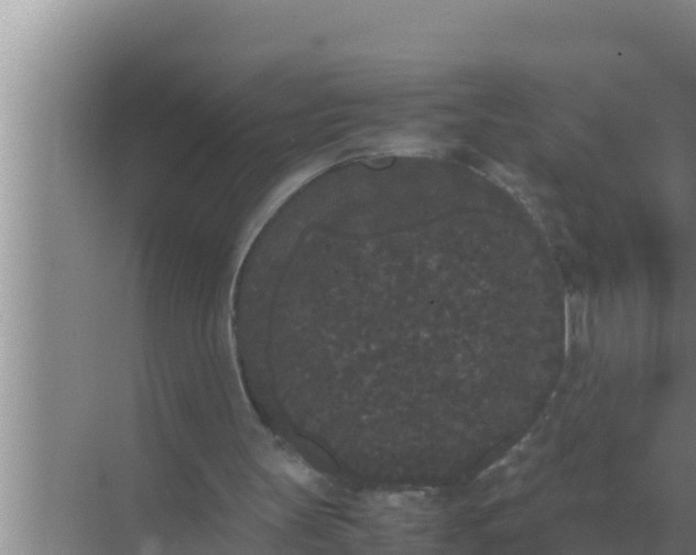 X0000069390147200605262125