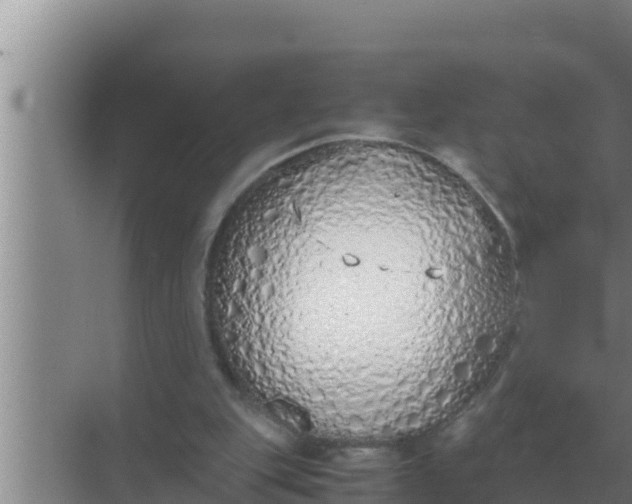 X0000069390151200605262125