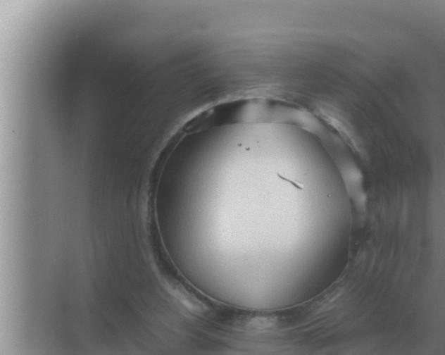 X0000069390156200605262125