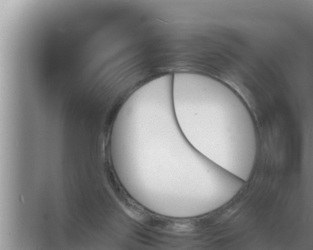 X0000069390157200605262125