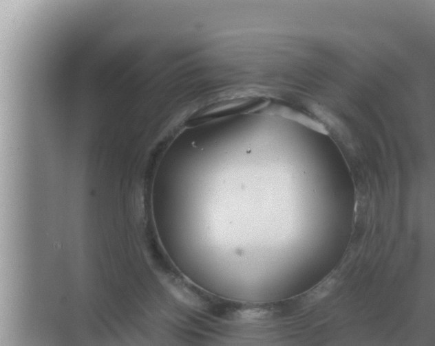 X0000069390158200605262125