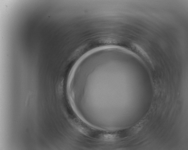 X0000069390163200605262125