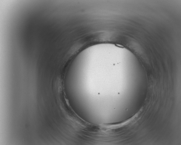 X0000069390164200605262125