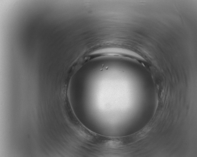 X0000069390168200605262126