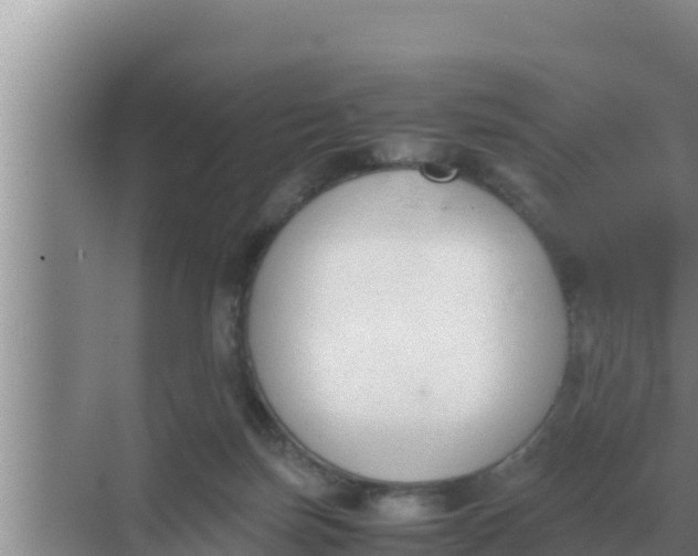 X0000069390171200605262126