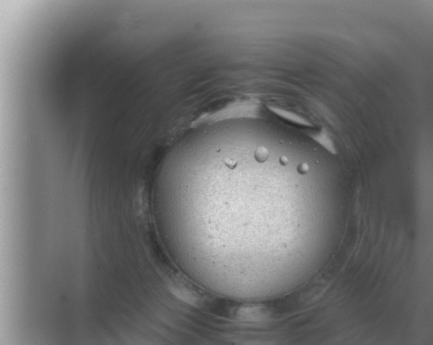 X0000069390173200605262126