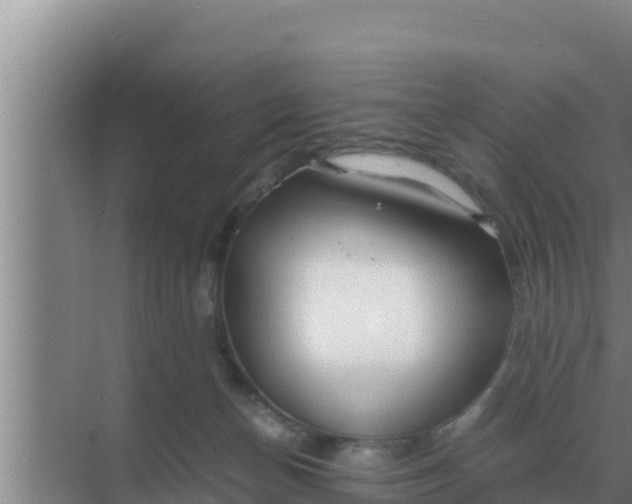 X0000069390174200605262126