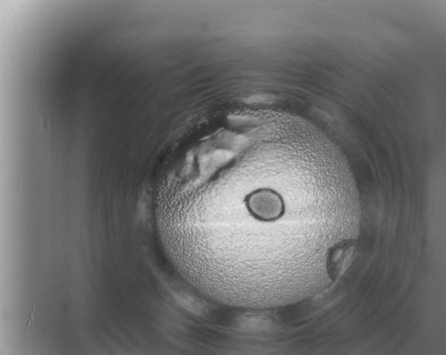 X0000069390175200605262126