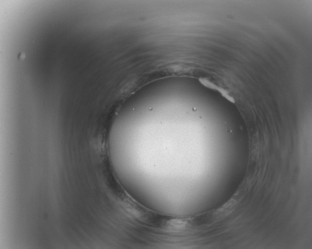 X0000069390176200605262126