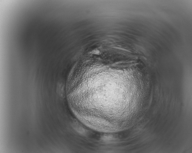 X0000069390177200605262126