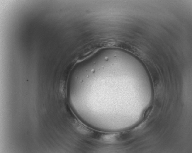 X0000069390178200605262126